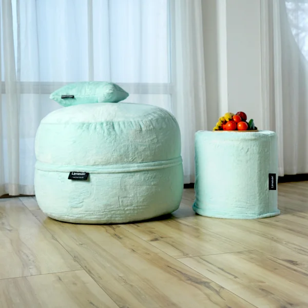 بین بگ مدل تاینی کوچک